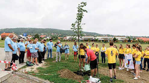 Barátságfa ültetése